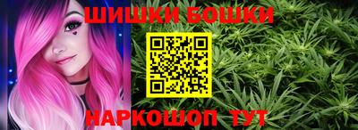 стаф Лесосибирск