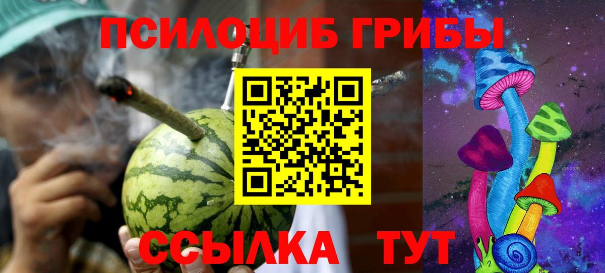 Галлюциногенные грибы прущие грибы Десногорск